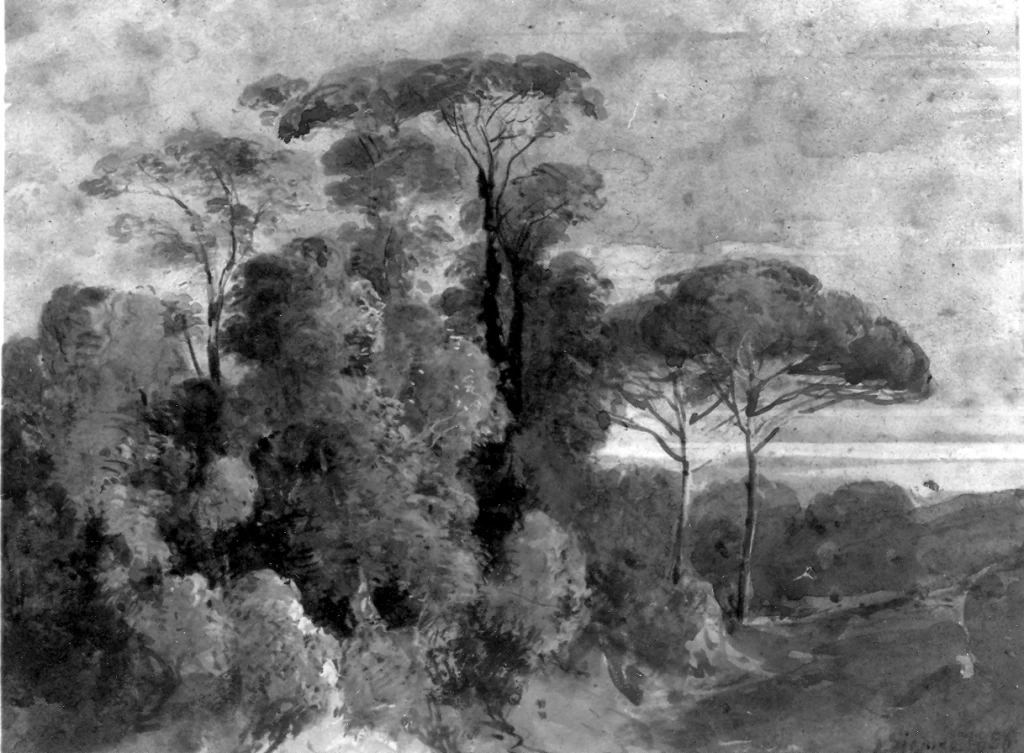 Paesaggio con pini - Cassino